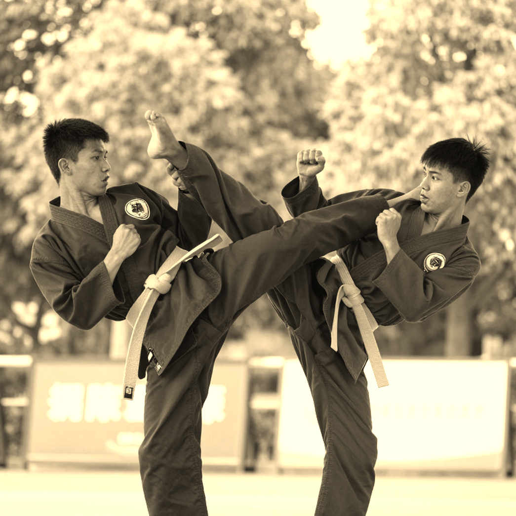 HCV Poomsae Việt Nam tại World Championships 2026: Giải mã một tấm huy chương bằng dữ liệu